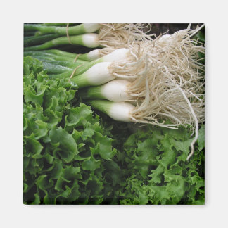 Imán Cebollas de primavera y lechuga