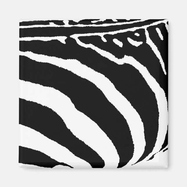 Imán cebra (Frente)