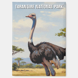 Imán Cebra del Parque Nacional Tarangire Tanzania