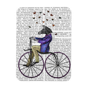 Imán Cebra En Bicicleta