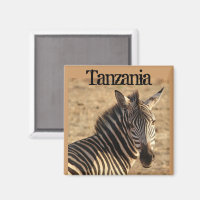 Cebra, sabana tanzana