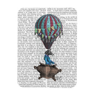 Imán Cebra voladora