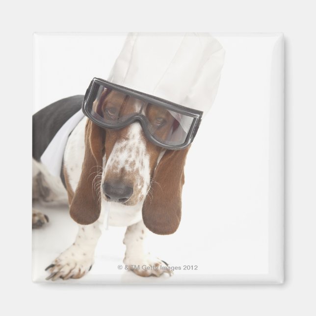 Imán Cecelia Erhart (Frente)