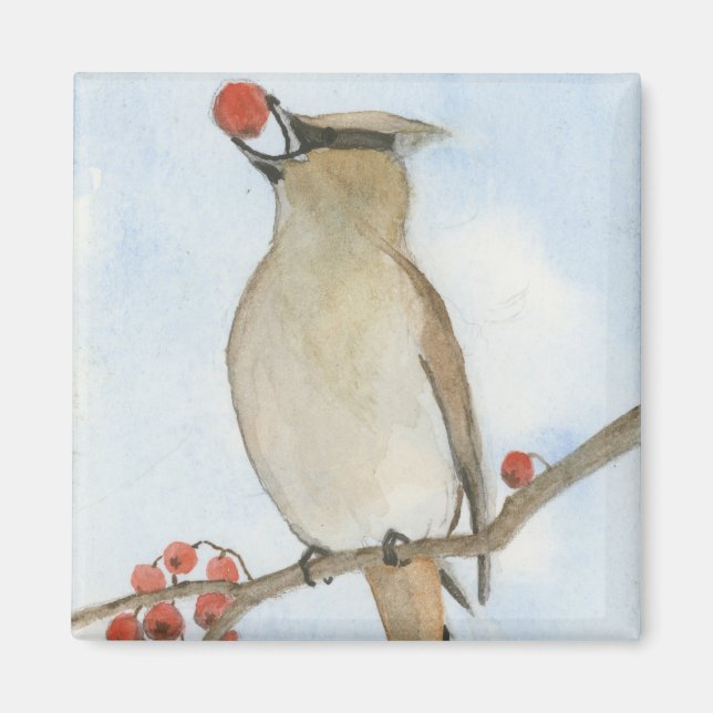 Imán Cedar Waxwing (Frente)