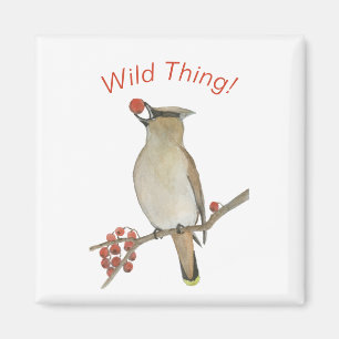 Imán Cedar Waxwing