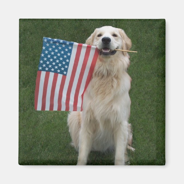 Imán Celebración de "oro" (Frente)