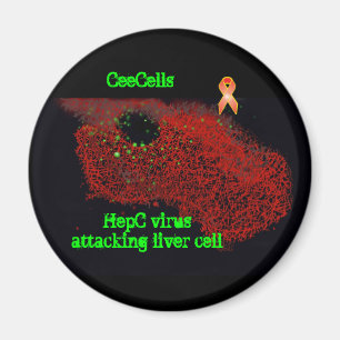 Imán Célula de hígado del virus de HepC que ataca