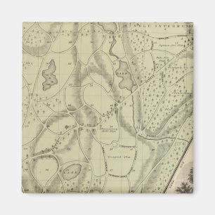 Imán Cementerio de Woodlawn