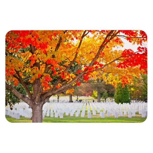 Imán Cementerio Nacional de Arlington en otoño (Horizontal)