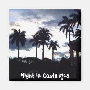 Imán Central de Parque en la noche