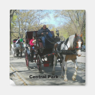 Imán Central Park, Caballo y Carrito