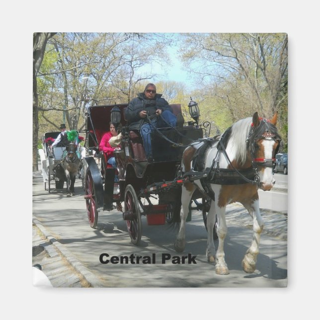 Imán Central Park, Caballo y Carrito (Frente)