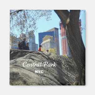 Imán Central Park, Nueva York
