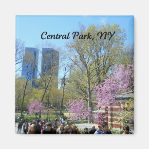 Imán Central Park, Nueva York
