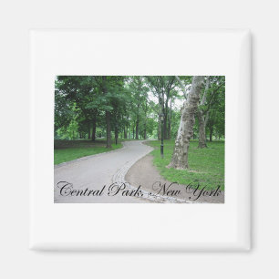 Imán Central Park, Nueva York