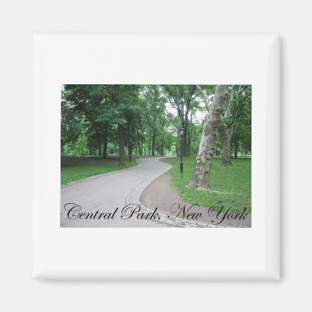 Imán Central Park, Nueva York (Frente)