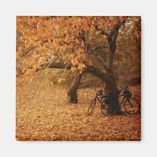 Imán Central Park Otoño - Nueva York