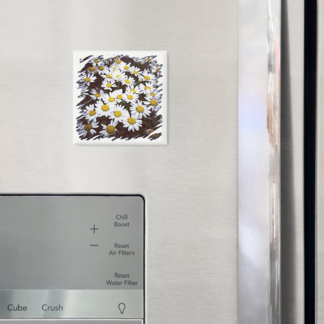 Imán Centro Amarillo Shasta Daisies Fotografía (In situ (nevera))