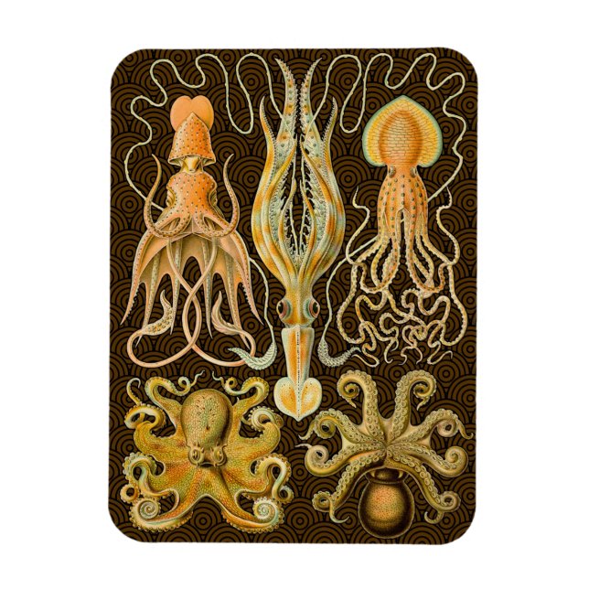 Imán Cephalopod Octopus Naturaleza marina de calamar (Vertical)