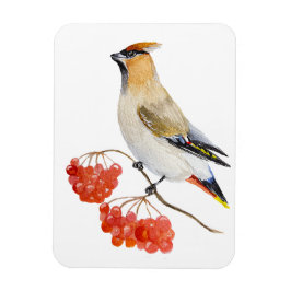 Imán Cepillo de aves de la selva acuarela