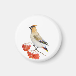 Imán Cepillo de aves de la selva acuarela