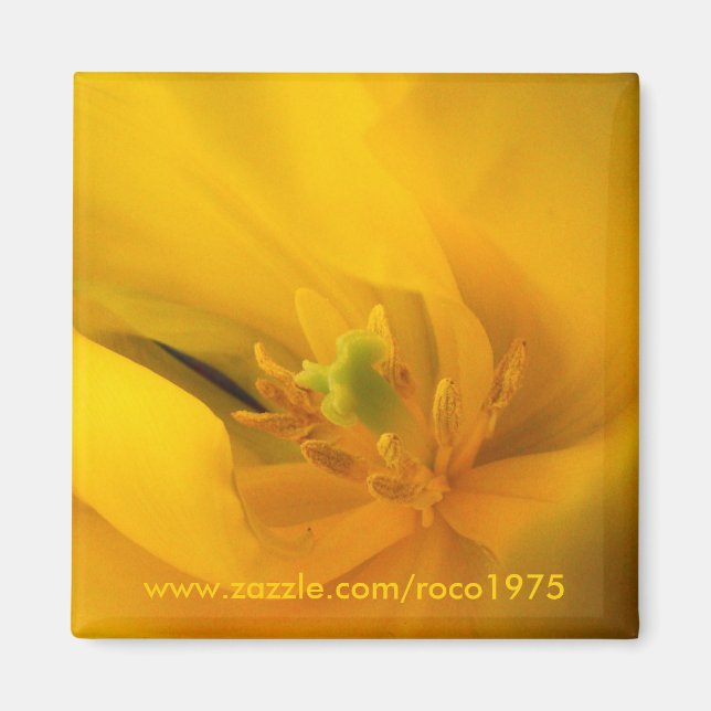 Imán Cerca de ti (Frente)