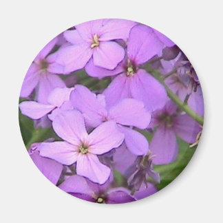 Imán Cerco de flores silvestres de Dame