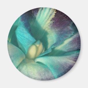 Imán Cerco de orquídeas azul y púrpura