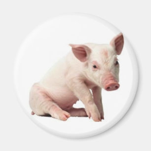 Imán cerdo