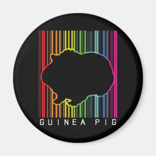 Imán Cerdo de Guinea