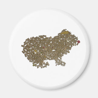 Imán Cerdo de Guinea