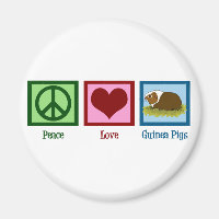 Cerdo de Guinea Cuta