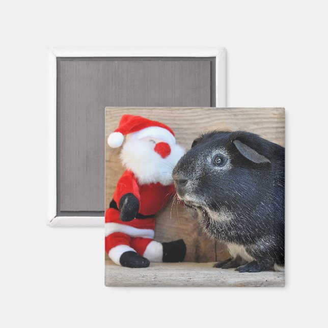 Imán Cerdo de la Fox de Plata y Santa Claus (Anverso/Reverso)