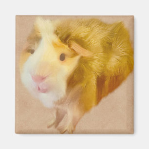 Imán Cerdo de Long Hair Guinea