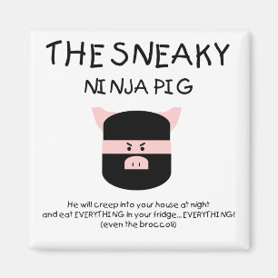 Imán Cerdo disimulado de Ninja