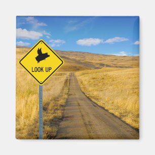 Imán Cerdos que vuelan por encima del Rótulo