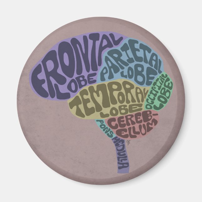 Imán cerebral (Frente)