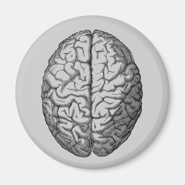 Imán Cerebro (Frente)