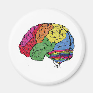 Imán Cerebro arco iris
