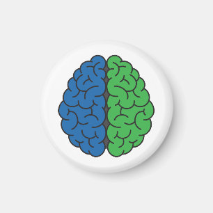 Imán Cerebro azul y verde   Hipertensión intracraneal