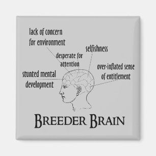 Imán Cerebro del criador