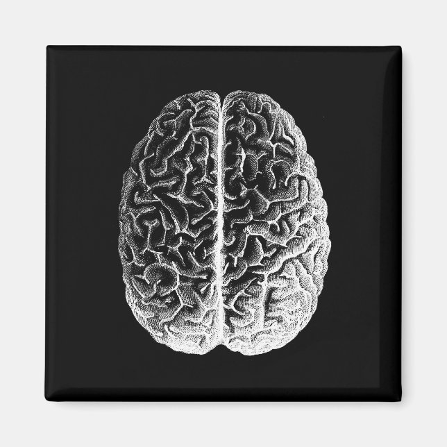 Imán ¡Cerebros! (Frente)