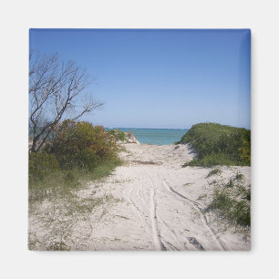 Imán Cervantes WA Magnet