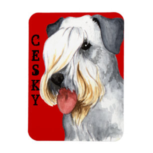 Imán Cesky Terrier Bloque de colores