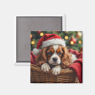 Imán Cesta acogedora para Cavalier King Charles Spaniel