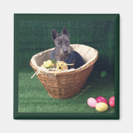 Imán Cesta de Pascua Scottie