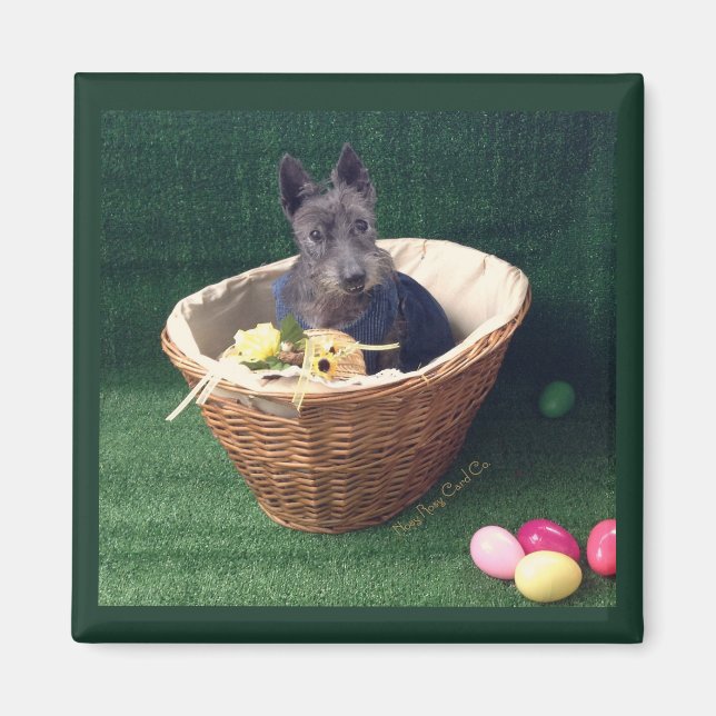 Imán Cesta de Pascua Scottie (Frente)
