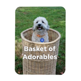 Imán Cesta de Perros Adorables 4 Hillary Magnet