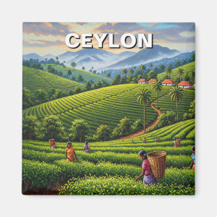 Imán Ceylon Sri Lanka Travel