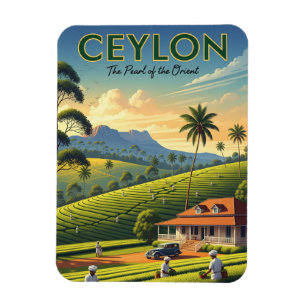 Imán Ceylon Sri Lanka Travel
